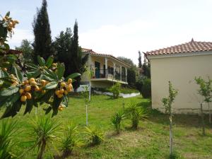 Muses Villas Messinia Greece