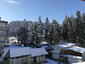 BOROVETS Royal Plaza - A409