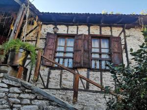 Demeter Rose Stonehouse Pansion