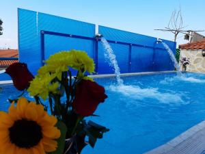 Hotel Flesvos Halkidiki Greece