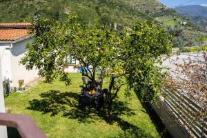 Il Madrigale - Agriturismo B&B