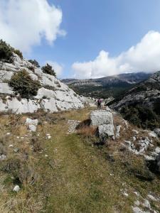 Maisons d'hotes Etape 85 : photos des chambres