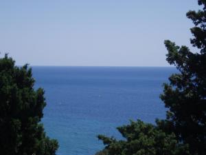 Apartments Medin Danilo