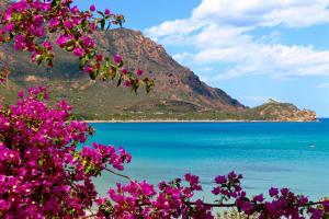 Sardinia MongaHouse img22