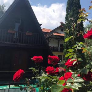 Duplex Apartment room in Zlatiborski San