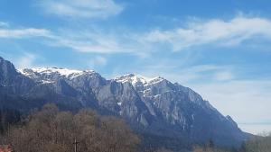 Apartament GreenStar