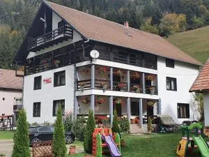 Pensiunea Cezar-Codrin - 凯亚