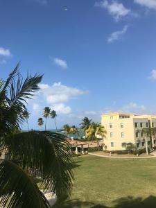 Three-Bedroom Apartment room in Rooftop Oasis with Oceanfront Breeze