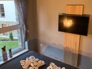 Apartament MODERN z ogrodem