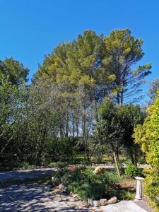 Maisons de vacances La Maison du Soleil Provence : photos des chambres