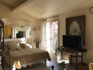 Lombre de la Glycine du Golfe de Saint Tropez