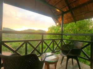 The Wild Trails Clarks Exotica , Munnar