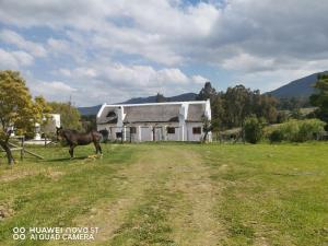 obrázek - Riviera Cottage