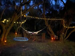 Agriturismo Lu Branu img19