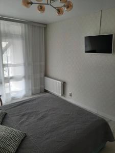 Comfortable apartment Zamostyanska 34а