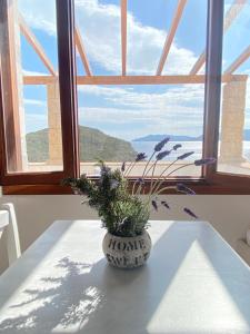 Liginou Studios and Suites Patmos Greece