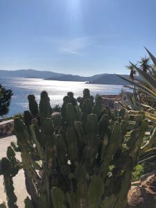 Liginou Studios and Suites Patmos Greece