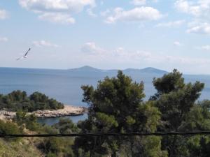 Litsa Studios Alonissos Greece