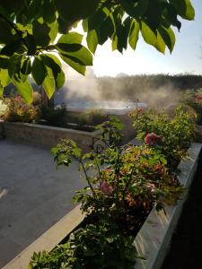 B&B / Chambres d'hotes Au chant des oiseaux : photos des chambres