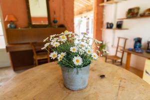 Maisons de vacances Poterie de Pierroux : photos des chambres