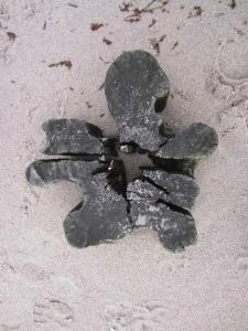 Strandstr_51 Wohnungsnr_12