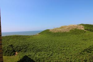 Strandblick