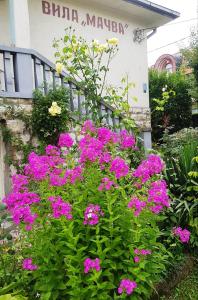 Apartments and rooms Villa Mačva - Banja Koviljača