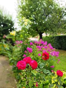 Apartments and rooms Villa Mačva - Banja Koviljača