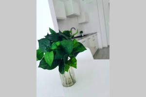 Green Apartment Promenada Gwiazd- widok na morze.