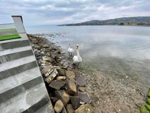 Villa Olga - Uniqe house with private beach