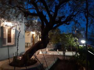 Dapia Holiday Home Spetses Greece