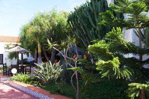 Miramar Boutique Apartments ADULTS ONLY CORRALEJO