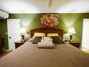 Private Vacation Villa Kohola