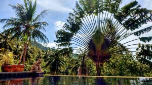 Koh Samui Palm View Villa
