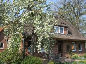 Ferienwohnung Ulrike Narjes