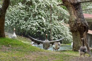 Casa da Eira "Lavoura da Bouça - Fruta Bio"