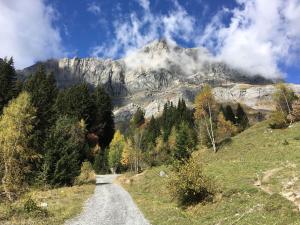 Chalets Fizhome Mt Blanc : photos des chambres