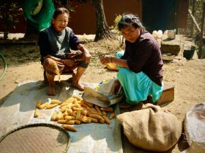 Kalimpong Village Retreat