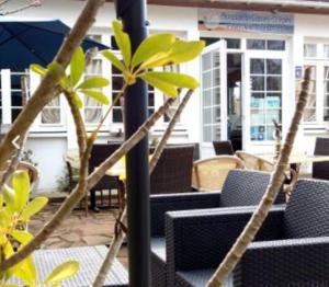 B&B / Chambres d'hotes Residence Fleur des Pins - Gites & Chambres d'Hotes : photos des chambres