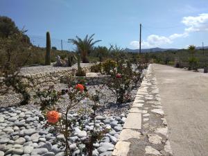 Kouremenos Palekastro Lasithi Greece