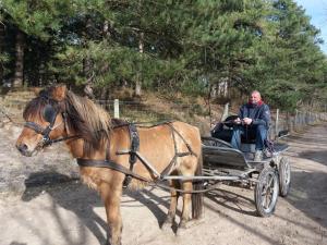 Maisons de vacances Gites 