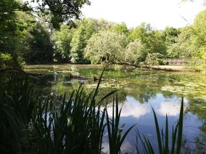 Maisons de vacances Gites 