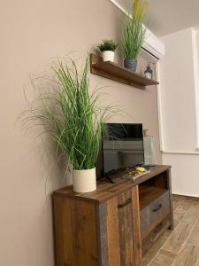 Loft Apartman X. ker.