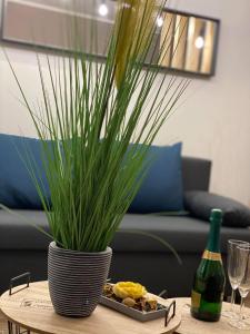 Loft Apartman X. ker.