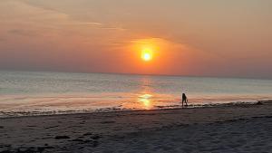 Appartements LA PAREE D'EAU 513 appartement 2 chambres avec piscine : photos des chambres