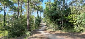 Appartements LA PAREE D'EAU 513 appartement 2 chambres avec piscine : photos des chambres