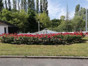 CHAMBRE INDEPENDANTE DANS UN PARC