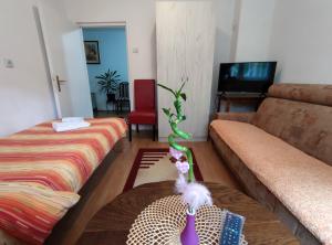 Lili apartman u parku