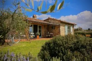 La Casina della Quercia, Your Tuscan Oak Tree House - Montefollonico