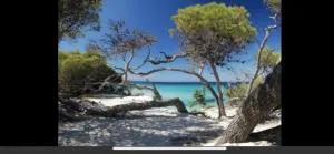 Résidence calme à 2 km de Saint-Florent - Croce